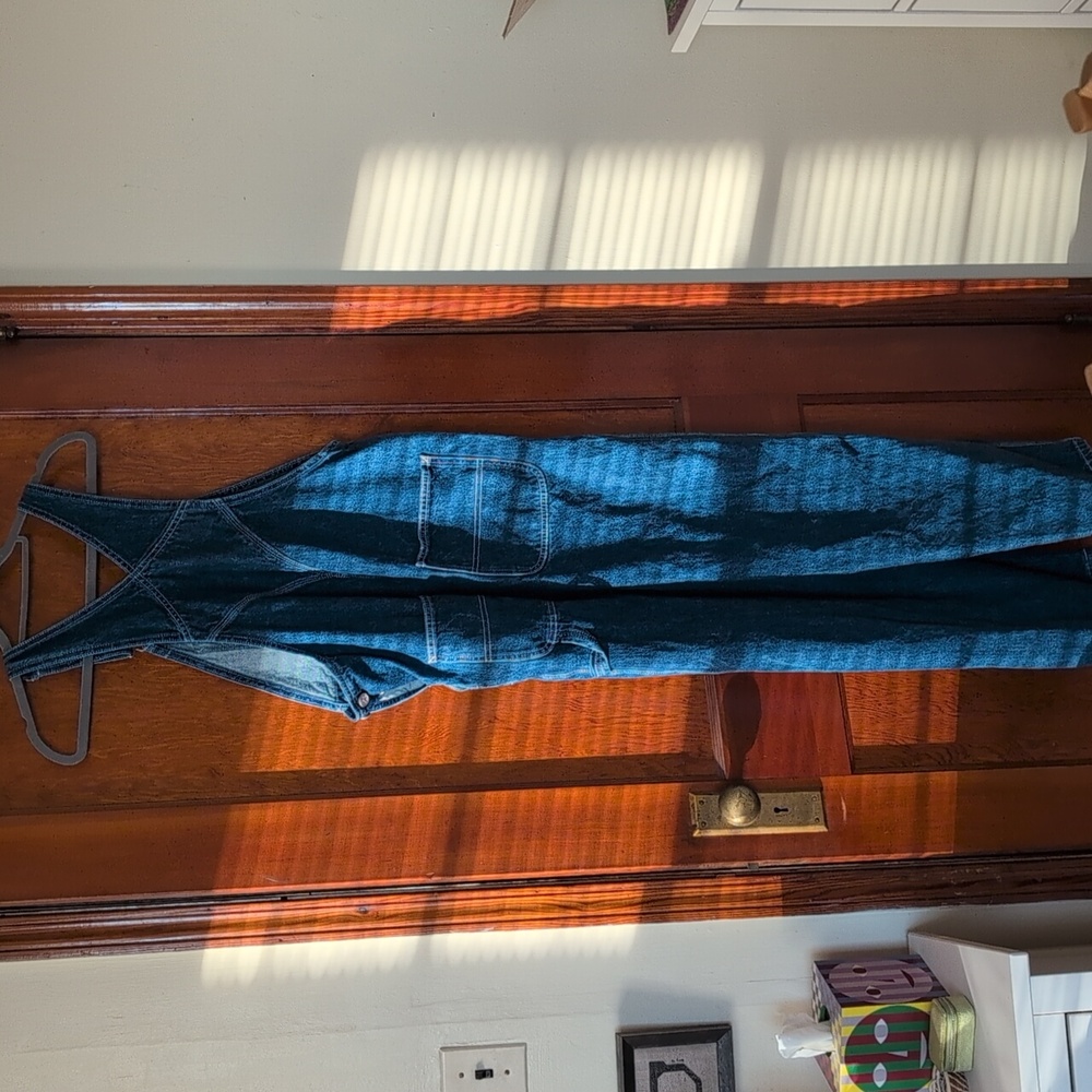 Lisa Says Gah Denim Overalls - Picture 6 of 7